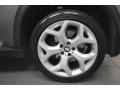 Space Grey Metallic - X5 4.8i Photo No. 9
