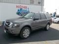 2013 Sterling Gray Ford Expedition Limited  photo #2