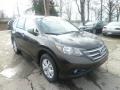 2013 Kona Coffee Metallic Honda CR-V EX AWD  photo #6