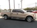 Pale Adobe Metallic - F150 XLT SuperCrew Photo No. 15