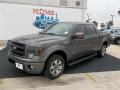 Sterling Gray Metallic - F150 FX2 SuperCrew Photo No. 2