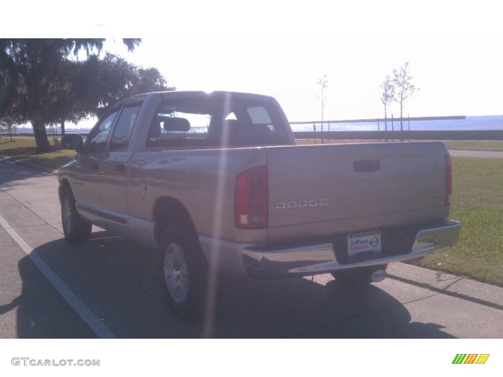 2004 Ram 1500 ST Quad Cab - Light Almond Pearl / Taupe photo #6