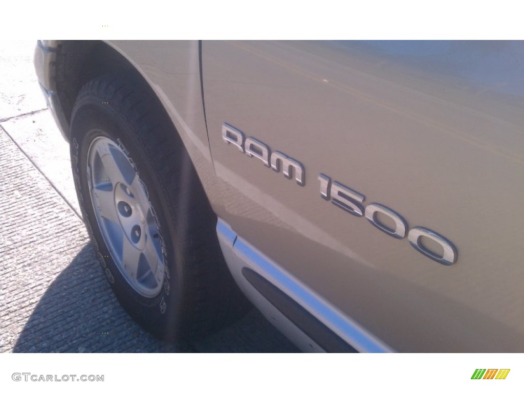 2004 Ram 1500 ST Quad Cab - Light Almond Pearl / Taupe photo #16