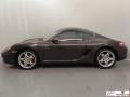 Macadamia Metallic - Cayman S Photo No. 5