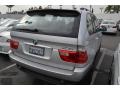 Titanium Silver Metallic - X5 3.0i Photo No. 3