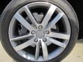 2010 Audi Q7 3.0 TDI quattro Wheel and Tire Photo