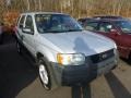 2002 Satin Silver Metallic Ford Escape XLS V6 4WD  photo #1