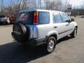 Sebring Silver Metallic - CR-V LX 4WD Photo No. 5