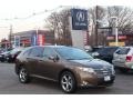 Sunset Bronze Mica - Venza V6 AWD Photo No. 1