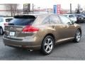 Sunset Bronze Mica - Venza V6 AWD Photo No. 3