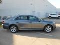 Platinum Gray Metallic 2013 Volkswagen Passat 2.5L SE Exterior