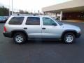 Bright Silver Metallic - Durango SXT Photo No. 6