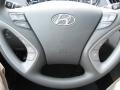 Iridescent Silver Blue Pearl - Sonata GLS Photo No. 30