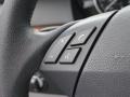Gray Controls Photo for 2010 BMW 5 Series #74341481