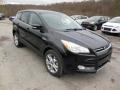 2013 Tuxedo Black Metallic Ford Escape SEL 2.0L EcoBoost 4WD  photo #2