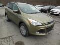 Ginger Ale Metallic 2013 Ford Escape Gallery