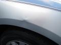Bright Silver Metallic - Charger  Photo No. 16