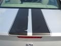 Bright Silver Metallic - Charger  Photo No. 20