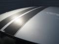 Bright Silver Metallic - Charger  Photo No. 47