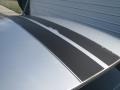 Bright Silver Metallic - Charger  Photo No. 48