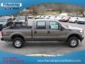 Sterling Gray Metallic - F250 Super Duty XL Crew Cab 4x4 Photo No. 6