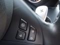 Sepang Beige Controls Photo for 2008 BMW M6 #74349996