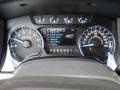 Steel Gray Gauges Photo for 2013 Ford F150 #74351066