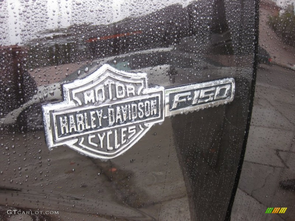 2010 F150 Harley-Davidson SuperCrew 4x4 - Lava Red Metallic / Harley Davidson Lava Red/Black photo #26