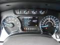 Steel Gray Gauges Photo for 2013 Ford F150 #74352174