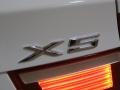 Alpine White - X5 xDrive30i Photo No. 9