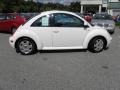 White - New Beetle GLX 1.8T Coupe Photo No. 10