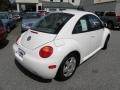 White - New Beetle GLX 1.8T Coupe Photo No. 11