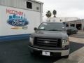 2010 Sterling Grey Metallic Ford F150 XL Regular Cab  photo #1