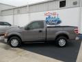 2010 Sterling Grey Metallic Ford F150 XL Regular Cab  photo #3