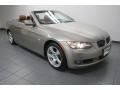 Platinum Bronze Metallic 2010 BMW 3 Series 328i Convertible