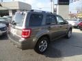 2011 Sterling Grey Metallic Ford Escape Limited V6 4WD  photo #6