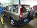 Sahara Sand Metallic - CR-V LX 4WD Photo No. 3