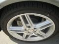 Palladium Silver Metallic - E 350 Coupe Photo No. 10