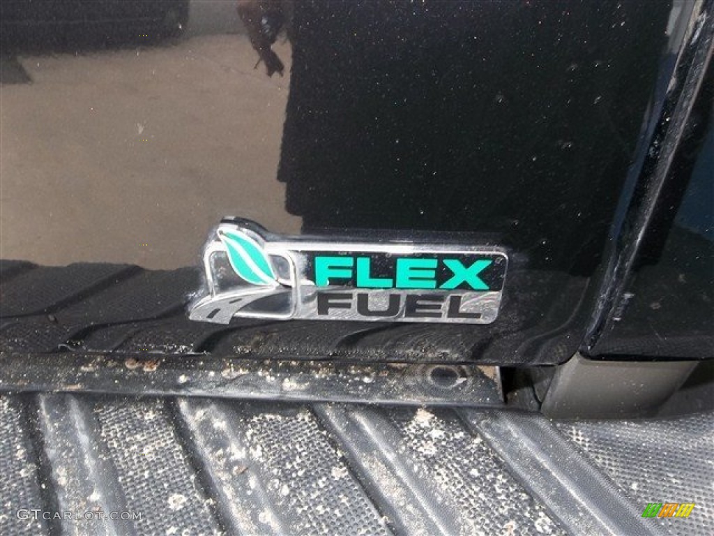 2010 F150 King Ranch SuperCrew - Tuxedo Black / Chapparal Leather photo #9