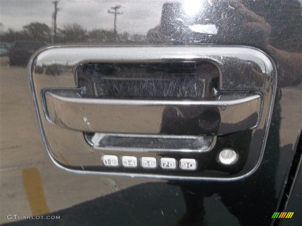 2010 F150 King Ranch SuperCrew - Tuxedo Black / Chapparal Leather photo #22