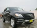 Black - ML 350 4Matic Photo No. 1