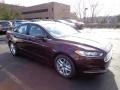 2013 Ruby Red Metallic Ford Fusion SE  photo #1