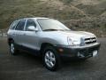 Smart Silver - Santa Fe GLS 4WD Photo No. 1