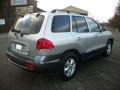 Smart Silver - Santa Fe GLS 4WD Photo No. 2