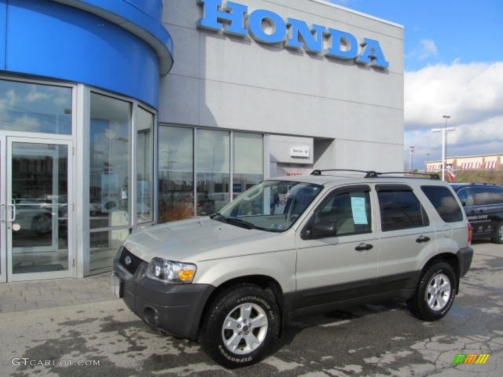 2005 Escape XLT V6 4WD - Gold Ash Metallic / Medium/Dark Pebble Beige photo #1