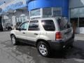 2005 Gold Ash Metallic Ford Escape XLT V6 4WD  photo #5