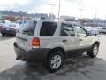 2005 Gold Ash Metallic Ford Escape XLT V6 4WD  photo #6