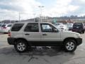 2005 Gold Ash Metallic Ford Escape XLT V6 4WD  photo #8