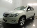 Candy White 2010 Volkswagen Tiguan SE