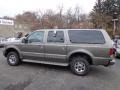 2005 Mineral Grey Metallic Ford Excursion Limited 4X4  photo #10